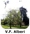 VF Alberi